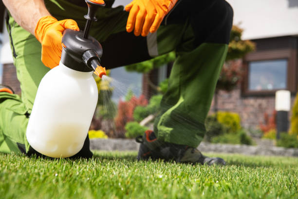 Best Mosquito Control Services  in Morganfield, KY