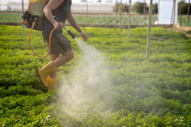 Best Pest Inspection Near Me  in Morganfield, KY
