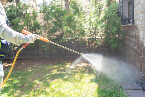 Best Exterminator Services  in Morganfield, KY
