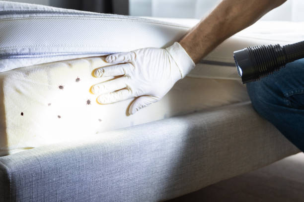 Pest Prevention Services in Morganfield, KY