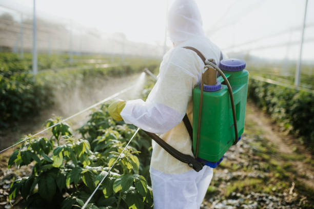 Best Best Pest Control Companies  in Morganfield, KY